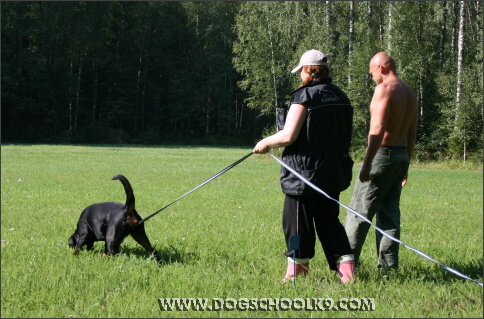 Summer training camp in Finland 2007